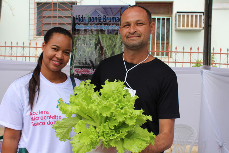 Primeira horta hídrica apresenta produção de alface em Brumado