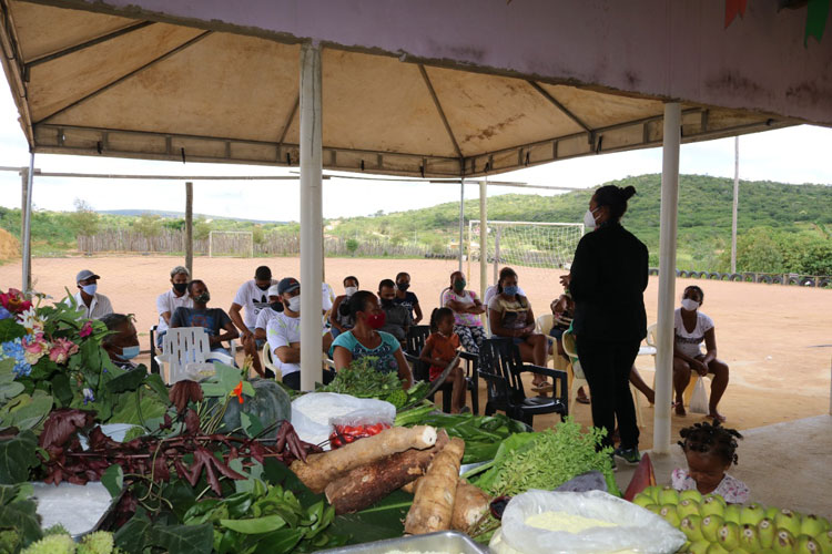 Agricultores do sudoeste baiano melhoram hábitos com alimentos da biodiversidade local