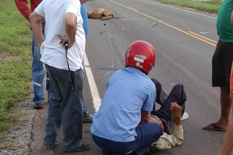 Animal solto em rodovia provoca novo acidente na BA-148 em Brumado