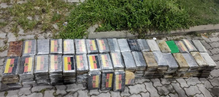 Em piso falso, PM encontra R$ 4,6 milhões em pasta base de cocaína em Salvador