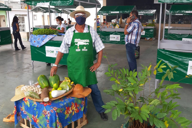 Malhada de Pedras reaquece economia rural com a feira da agricultura familiar