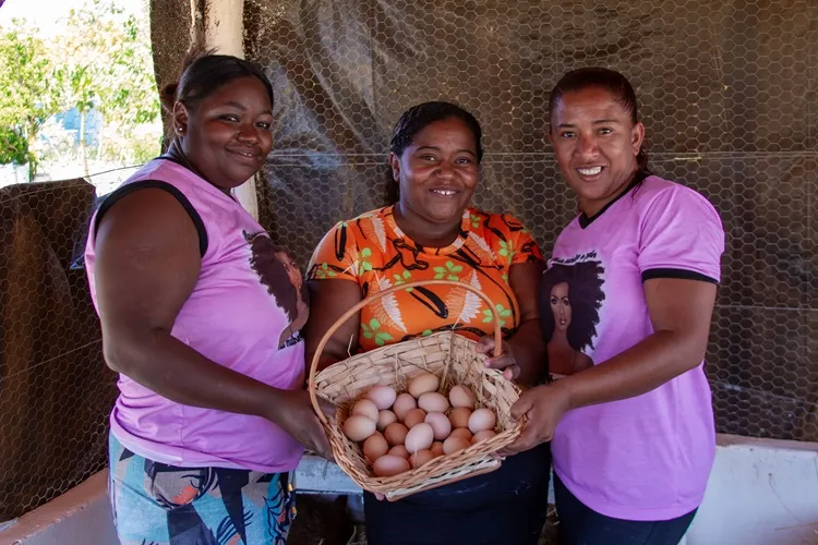 Mulheres quilombolas empreendem e têm bons resultados com a avicultura em Carinhanha