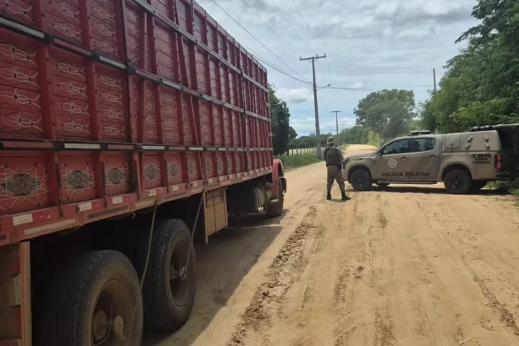 Cippa retira redes de pesca e madeira irregular de circulação em Carinhanha