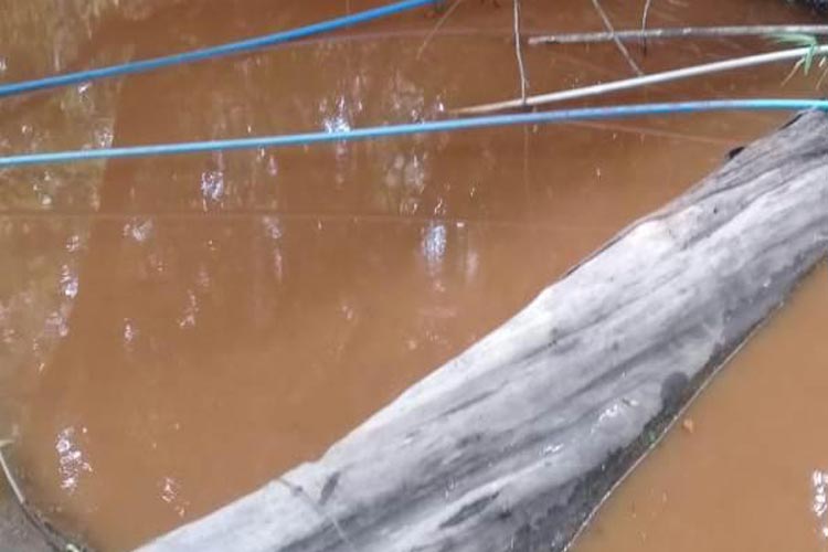 Caetité: Moradores denunciam empresas eólicas por poluição de água de açude