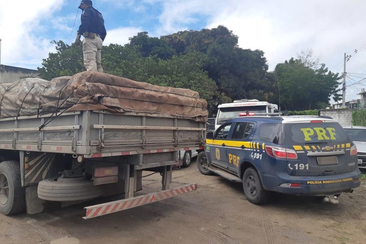 Mais de 5 toneladas de maconha são apreendidas dentro de carga de trigo em Feira de Santana