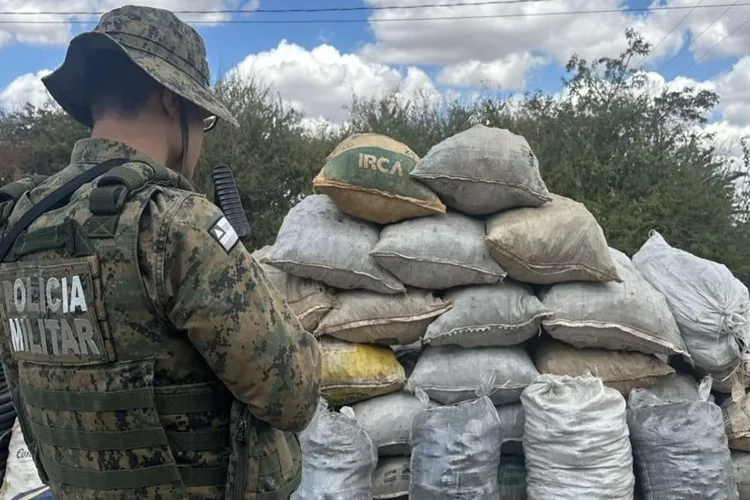 Polícia Ambiental apreende 1 tonelada de carvão vegetal em Ibititá