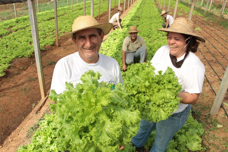 Agricultores familiares usam a internet para manter atividades na pandemia