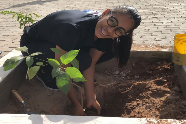 Brumado: Alunos da Uneb plantam mudas de árvores atendendo à disciplina ambiental