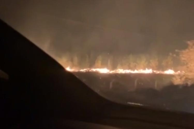 Incêndio atinge área de plantação de eucaliptos em Barra do Choça