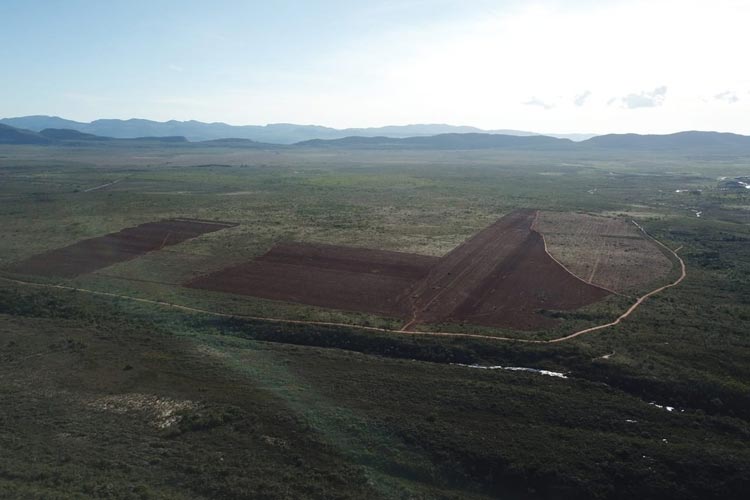 Piatã: MP-BA ajuíza ação contra Inema e produtor rural por desmatamento ilegal em fazenda