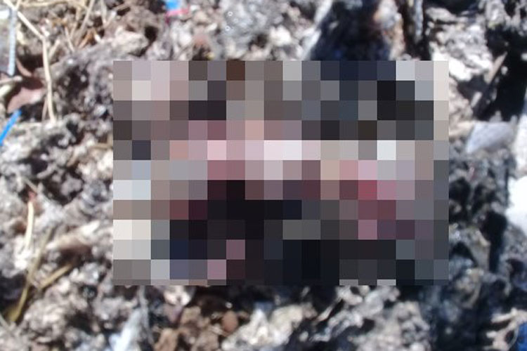 Guanambi: Funcionários da Embasa encontram feto com cordão umbilical em rede de esgoto