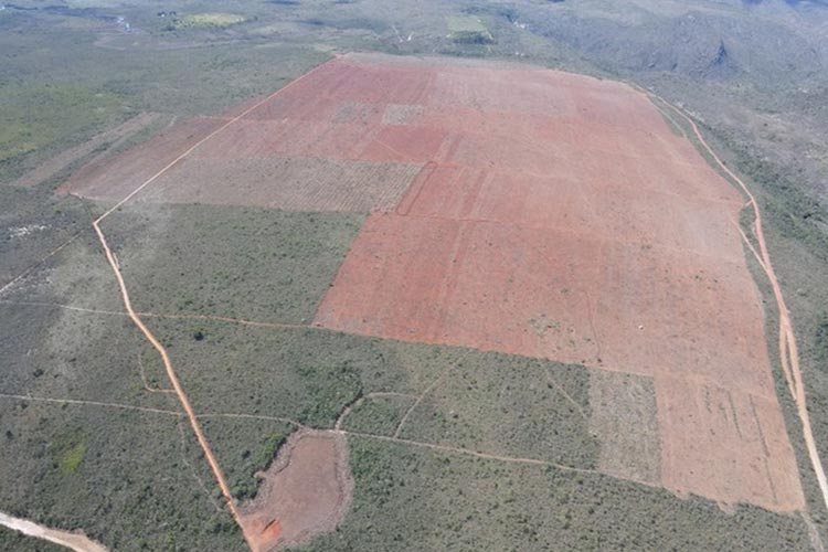 Piatã: MP-BA ajuíza ação contra Inema e produtor rural por desmatamento ilegal em fazenda