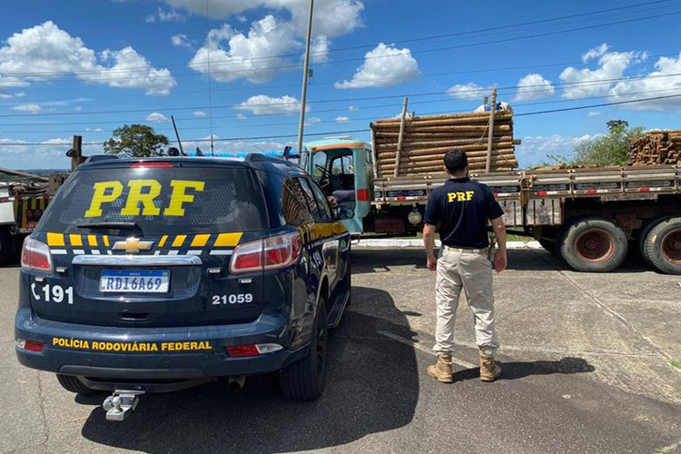 Santo Antônio de Jesus: PRF resgata adolescente em situação de maus-tratos e exploração na BR-101