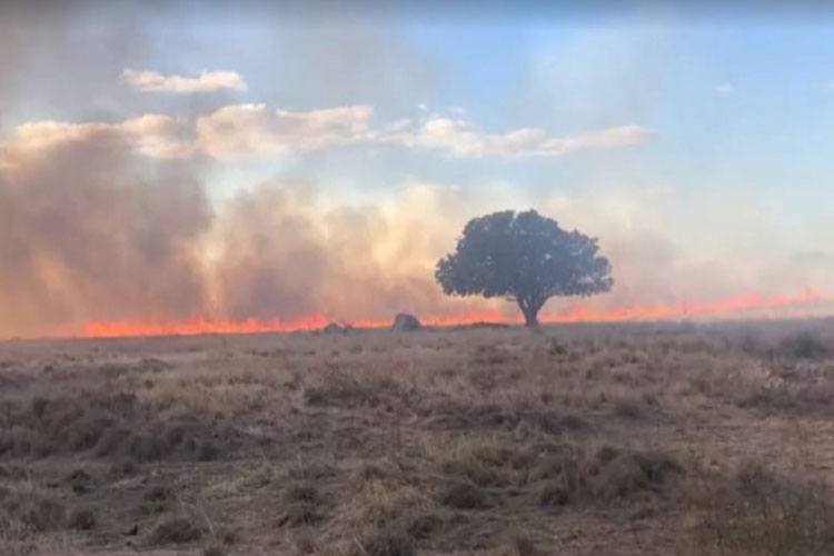 Incêndio atinge fazenda na cidade de Guanambi