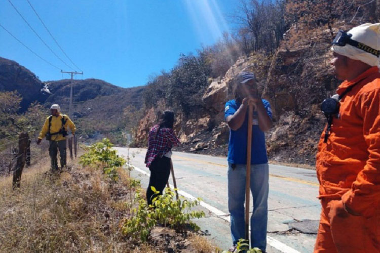 Brigadistas combatem incêndio na Serra das Almas em Rio de Contas