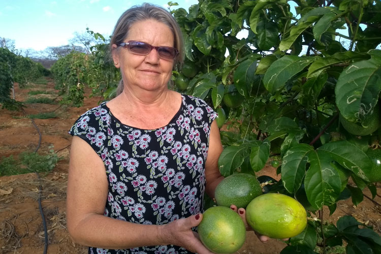 Pedal na Roça: Maracujina produzida em Brumado ganha mercado regional e em São Paulo