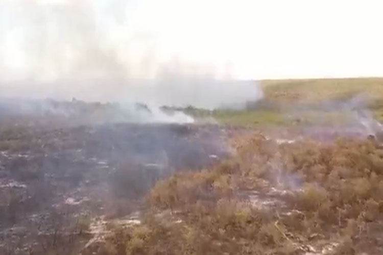 Faíscas de serra de cortar mármore provocam incêndio na vegetação em Ibicoara