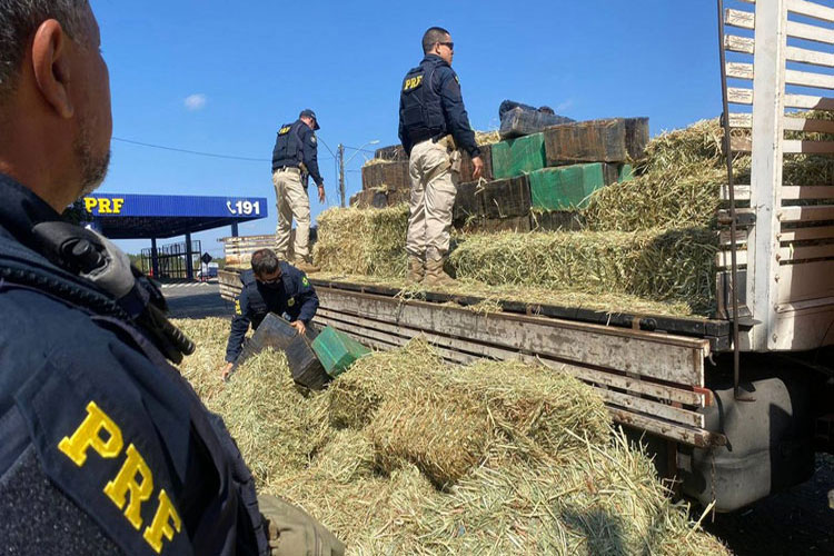 Conquista: Motorista é preso com quase três toneladas de maconha em carga de feno