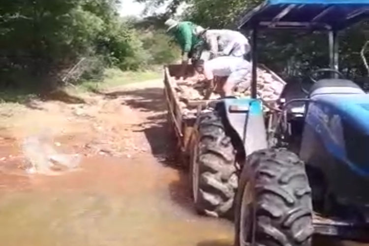 Mutirão libera estrada vicinal que não recebe manutenção há 20 anos em Brumado