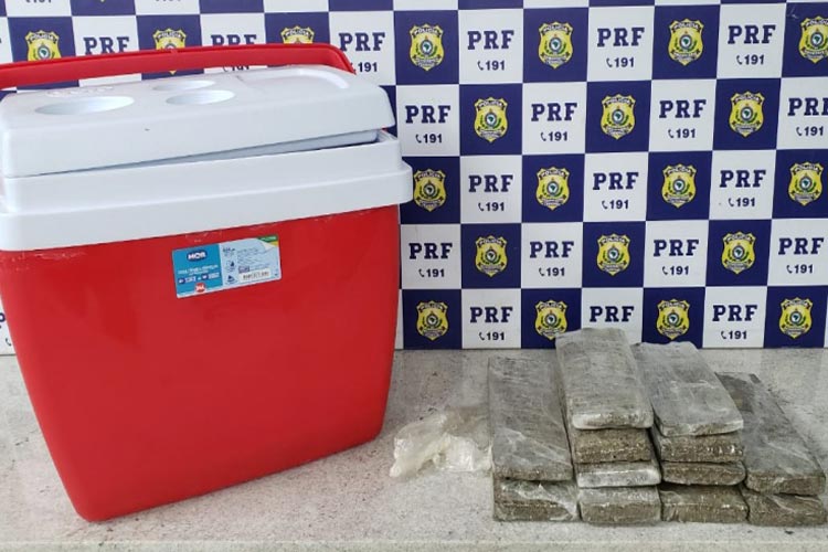 PRF encontra 5 kg de maconha em caixa térmica de ônibus de turismo em Vitória da Conquista