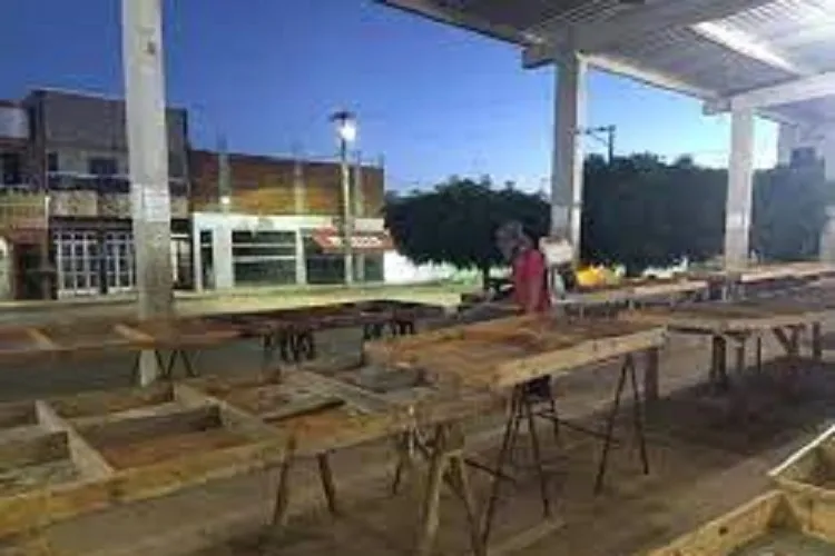 Morador denuncia infestação de pombos no Mercado Municipal de Matina