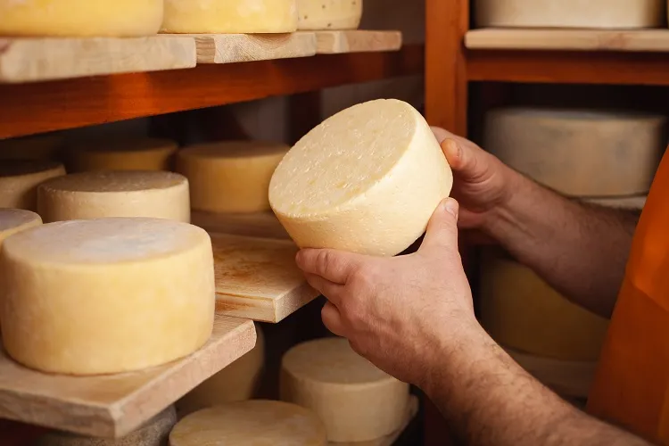 Guanambi: Sebrae e IF Baiano promovem curso de produção de queijos artesanais 