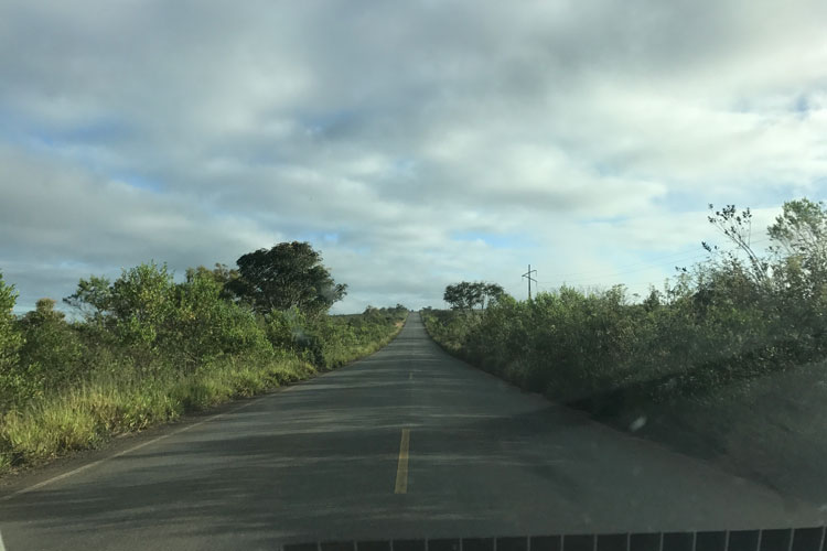 Homem de 44 anos morre em colisão na BA-142 em Ibicoara