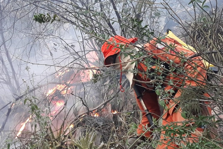 Incêndio atinge área de mata entre Livramento de Nossa Senhora e Rio de Contas