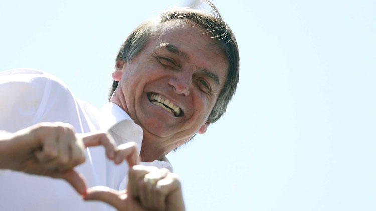 Ibope: Bolsonaro tem 59% dos votos válidos; Haddad tem 41%