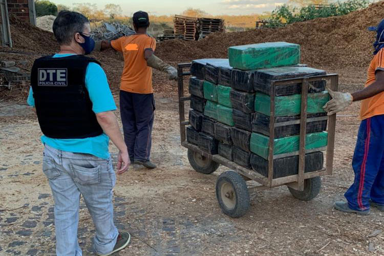 Quase 3 toneladas de maconha são incineradas em Vitória da Conquista