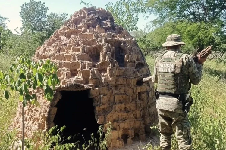 Quatro fornos clandestinos de carvão são destruídos em Ibipitanga
