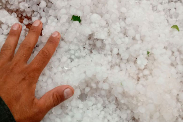 Cidade de Wanderley, no oeste da Bahia, é atingida por chuva de granizo durante 40 minutos