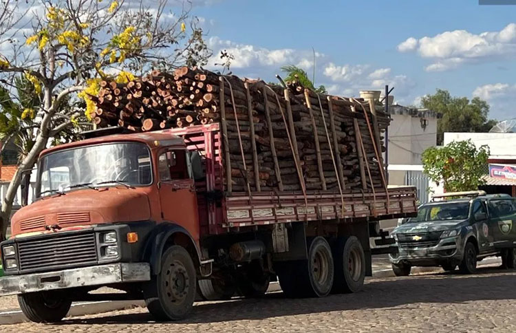 Carga de madeira avaliada em R$ 500 mil é apreendida na BA-156 em Oliveira dos Brejinhos