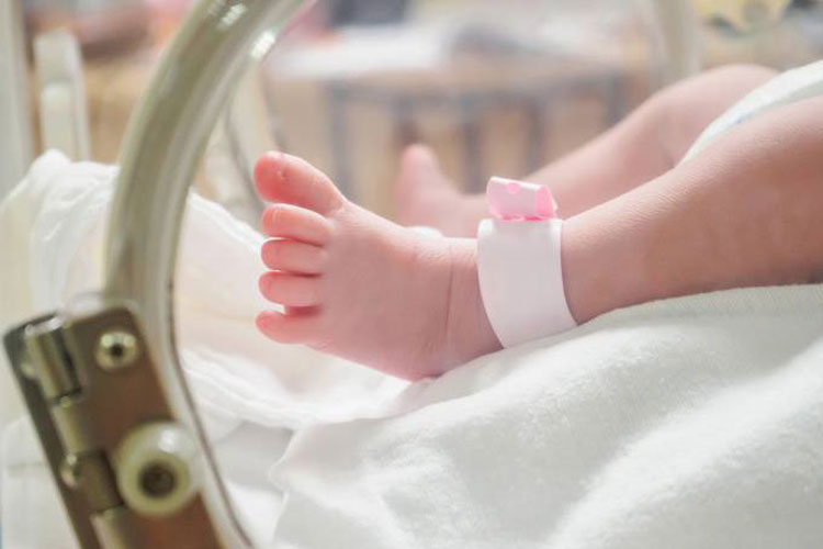 Brasil é o único país a ter bebê gerado em útero transplantado de doadora morta