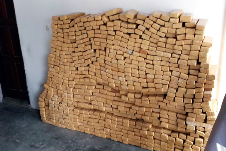 Mais de 800 kg de maconha são apreendidos em caminhão na cidade de Feira de Santana