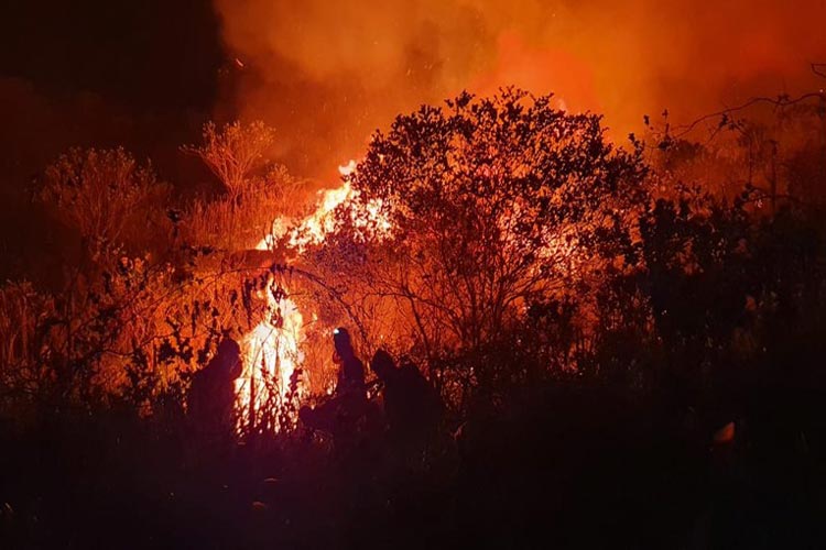 Chapada Diamantina: Incêndio atinge área florestal na cidade de Andaraí