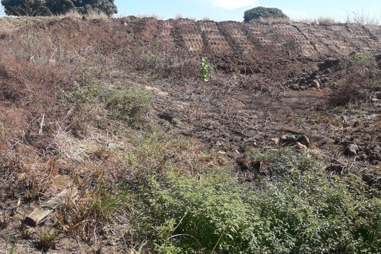 Lavrador denuncia prefeitura de Guajeru por invasão de terra