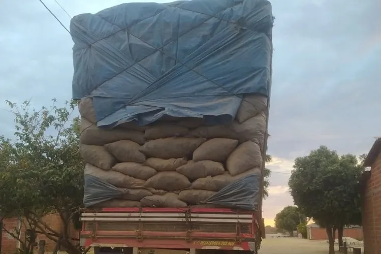 Polícia ambiental apreende caminhão transportando carvão vegetal ilegal em Carinhanha