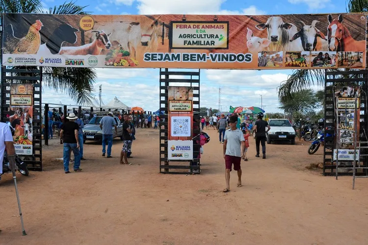 Feira de animais, agricultura familiar e copa de marcha no aniversário de Malhada de Pedras