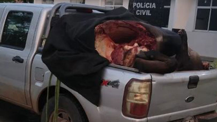 Suspeitos de roubo de gado são presos no interior da Bahia