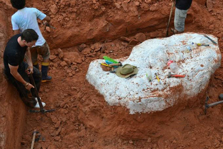 Dinossauro ‘pescoçudo’ mais antigo do mundo é descoberto no Rio Grande do Sul