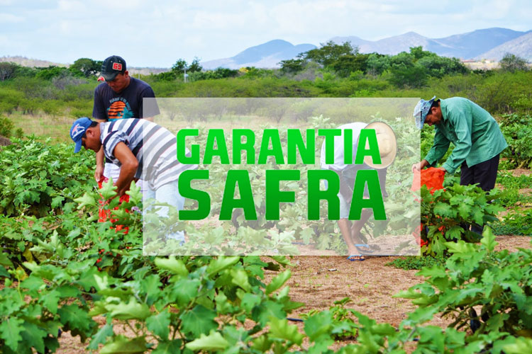 Inscrições para adesão ao Programa Garantia Safra estão abertas em Brumado