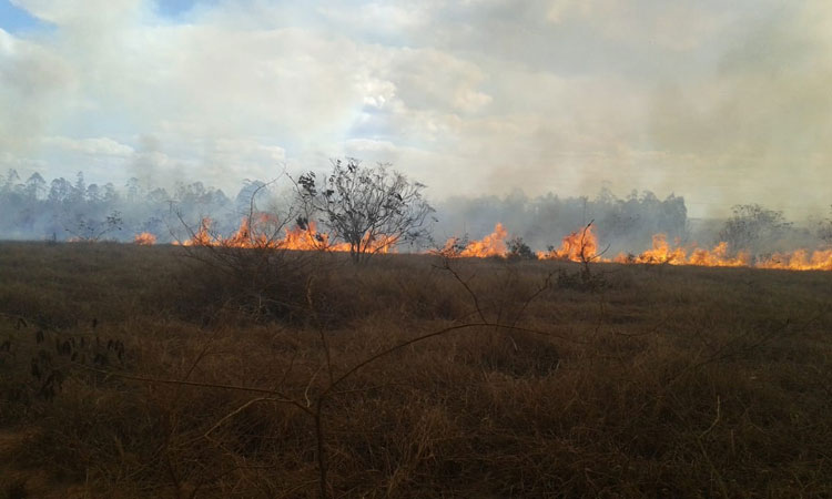 Vitória da Conquista: Incêndio de grandes proporções destrói vegetação e atinge área da Uesb