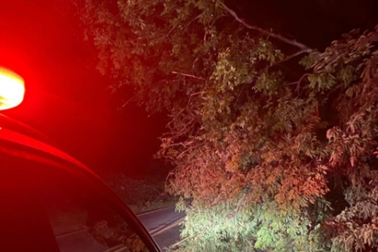 20º BBM remove árvore que caiu e interditou BR-430 em Riacho de Santana