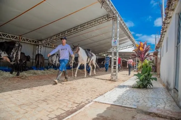 Prefeitura de Belo Campo cancela Feira Agropecuária por causa da seca intensa