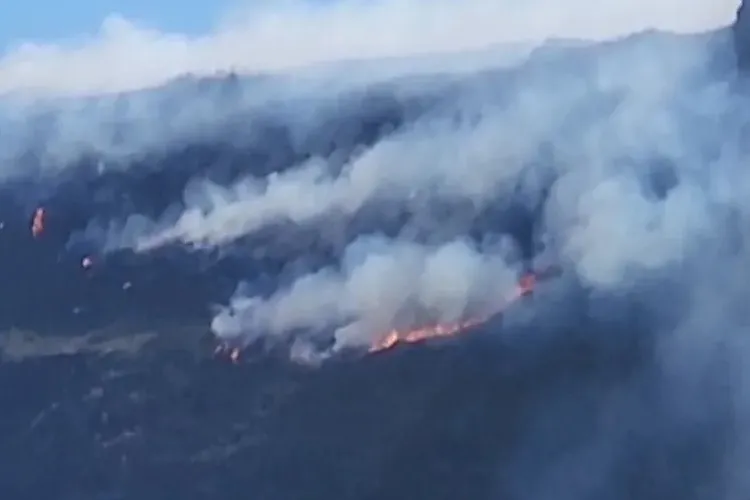 Incêndios florestais atingem Bom Jesus da Lapa, Rio do Pires e Lençóis