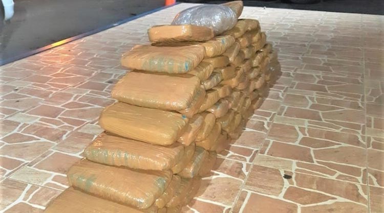 Operação Tamoio: PRF flagra motorista de aplicativo com 70 kg de maconha na BR-101 em Alagoinhas