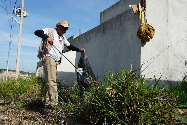 Brasil registra quase 600 mil casos de dengue em 2019