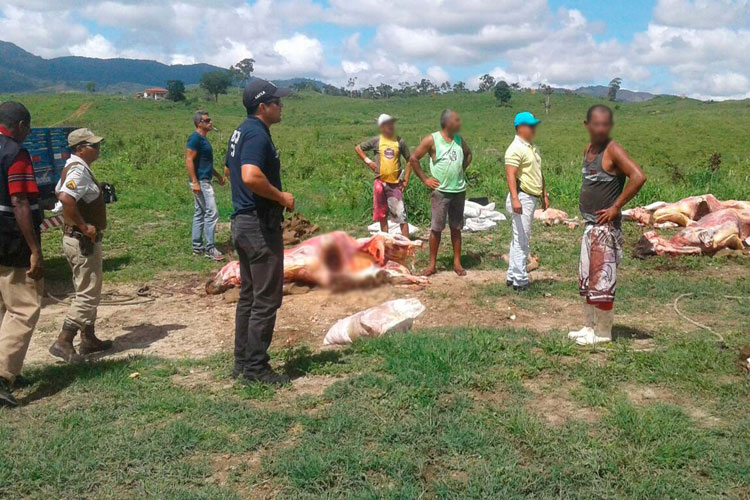 Polícia apreende 2,5 toneladas de carne que seria de gado roubado em Itapetinga