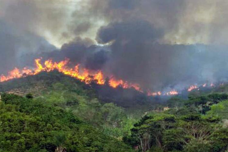 Incêndio de grande proporção avança pela Serra do Sincorá entre Ibicoara e Iramaia